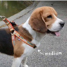 Load image into Gallery viewer, Collars &amp; Leashes - Much Loved Monkey Harness