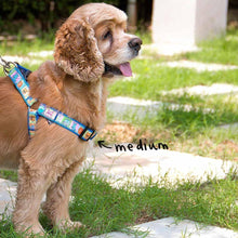 Load image into Gallery viewer, Collars &amp; Leashes - Pettraits Harness