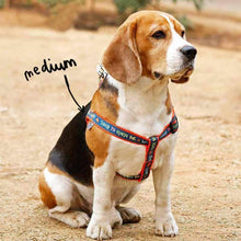 Load image into Gallery viewer, Collars &amp; Leashes - Taking My Humans Harness
