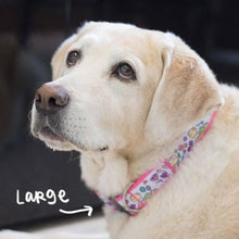 Load image into Gallery viewer, Collars &amp; Leashes - Tweet Tweet Collar
