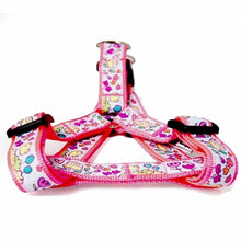 Load image into Gallery viewer, Collars &amp; Leashes - Tweet Tweet Harness