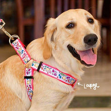 Load image into Gallery viewer, Collars &amp; Leashes - Tweet Tweet Harness